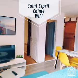 Katalina Lau T3 Au Coeur De Saint Esprit Appartement